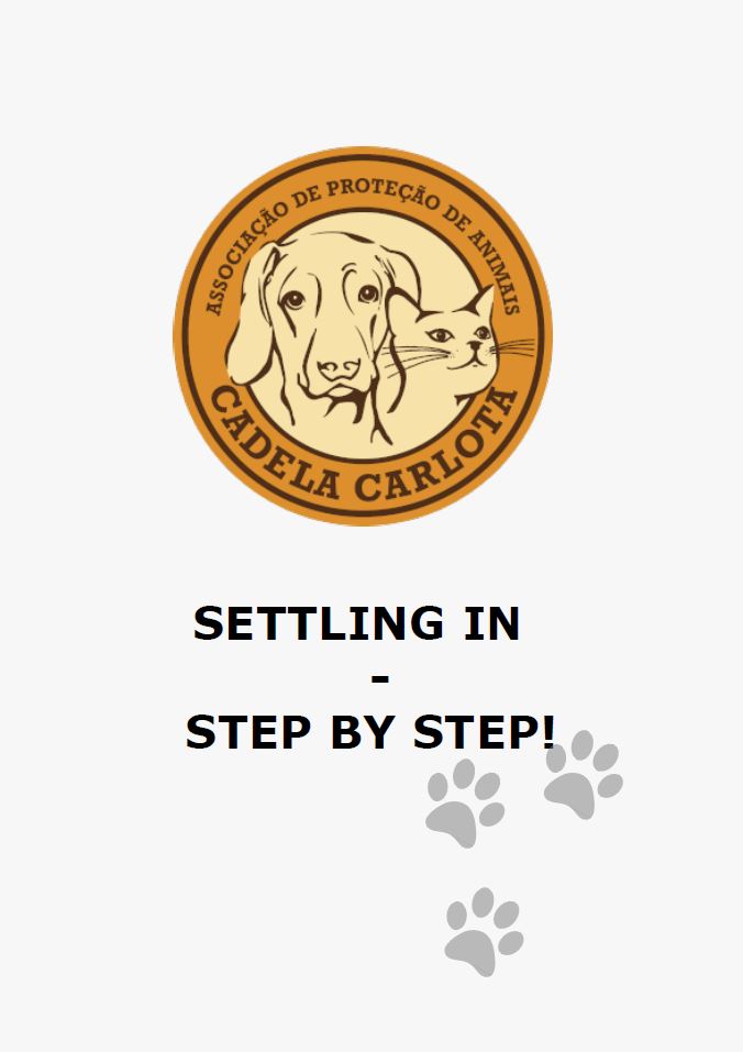 Preview of 'Settling In Step By Step'