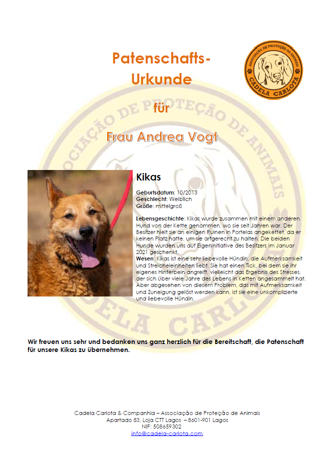 Certificate Kikas DE