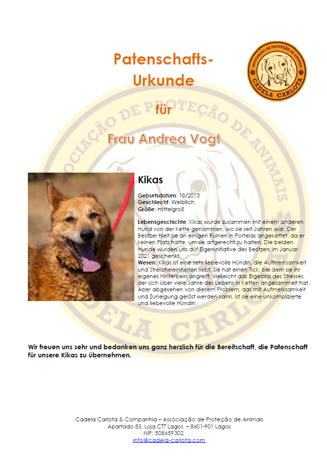 Certificate Kikas DE Certificate Kikas DE